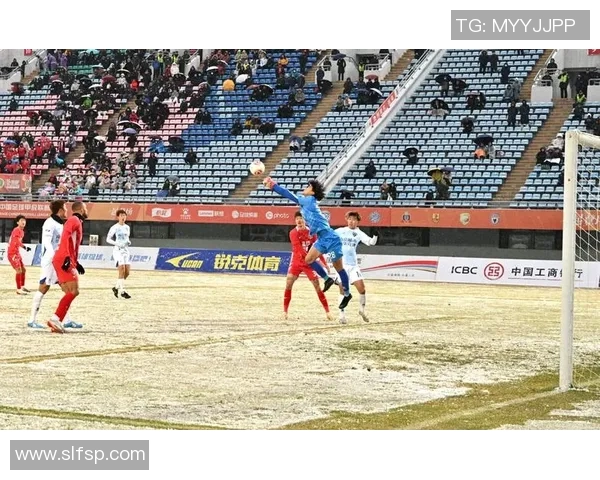 杭州足球队的速度之美探索与发展潜力分析 杭州足球队的速度之美探索与发展潜力分析