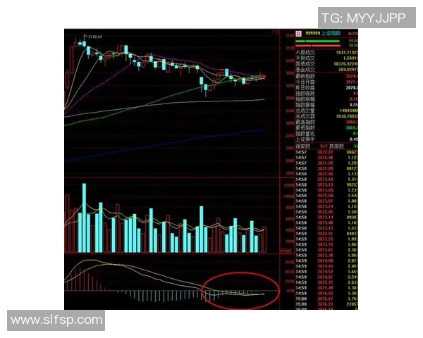 深圳篮球队与广州篮球队赛后复盘分析比赛节奏与战术对决